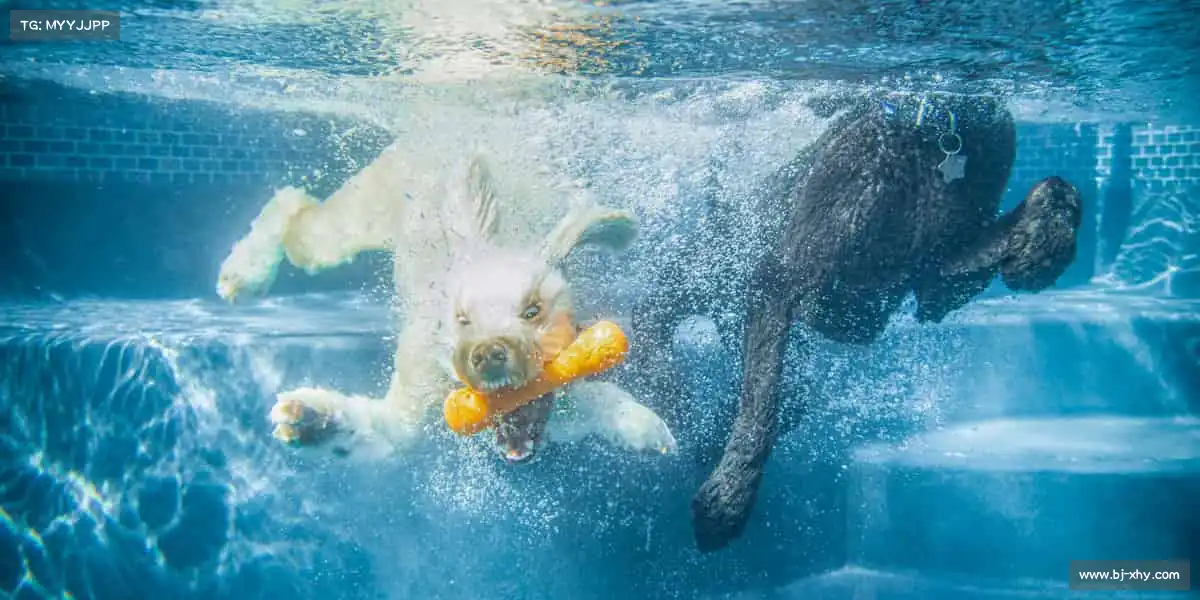 <strong>mk体育</strong>运动不止，热血不息，每一次挥汗都是对自己的超越！💪